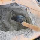 Виды сухих строительных смесей для выравнивания стен